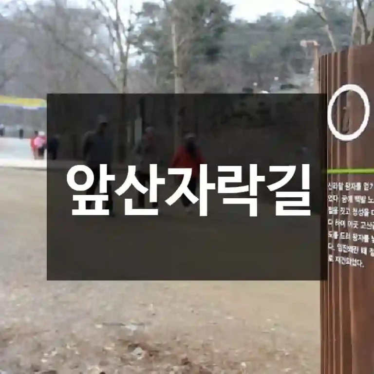 앞산자락길