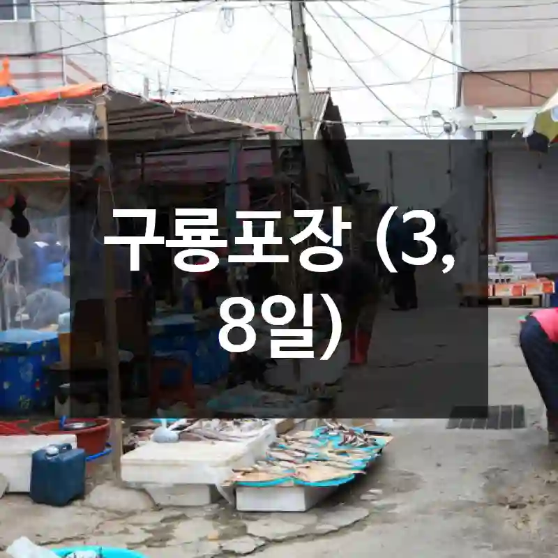 구룡포장 (3, 8일)