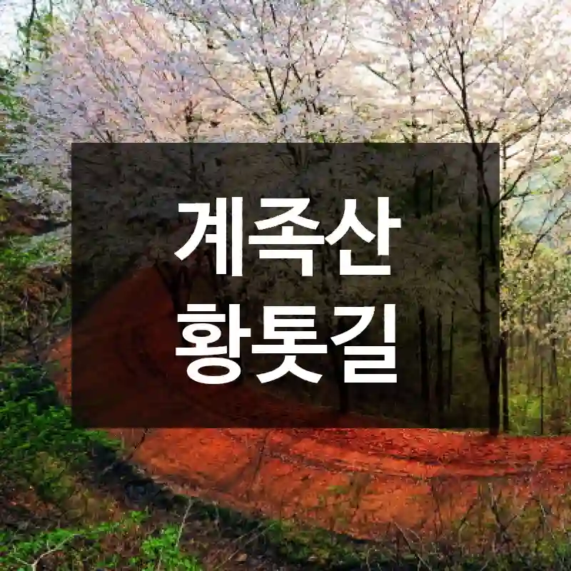 계족산 황톳길