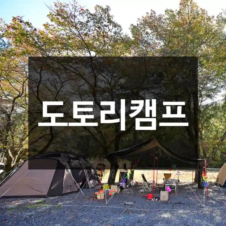 도토리캠프