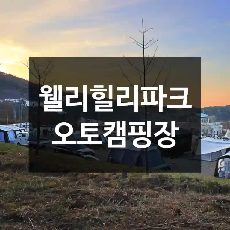 웰리힐리파크오토캠핑장