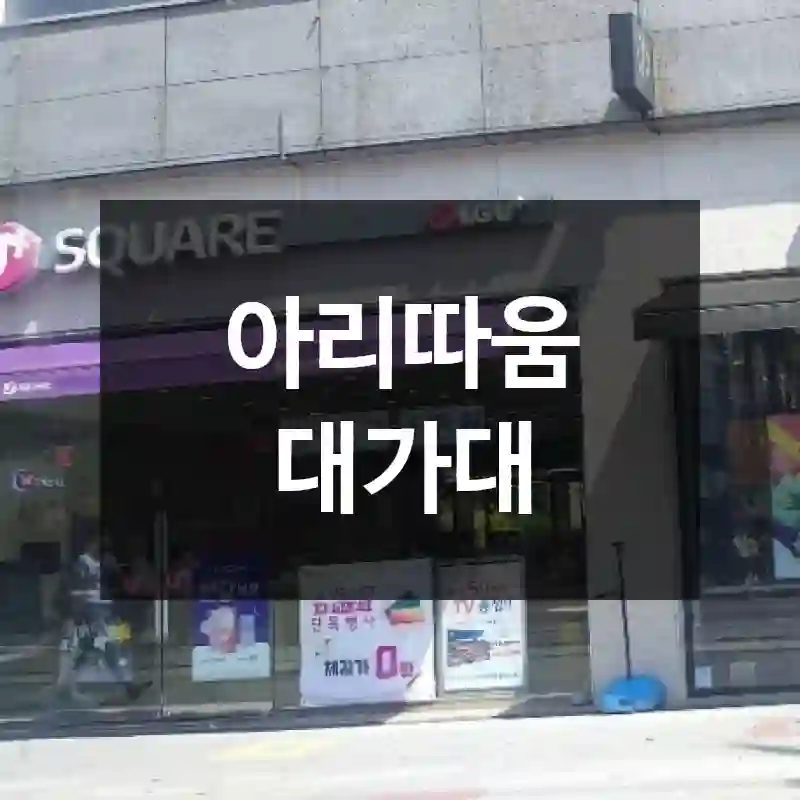 아리따움 대가대