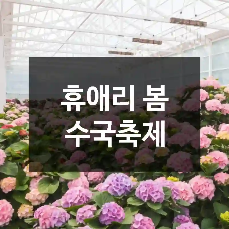 휴애리 봄 수국축제