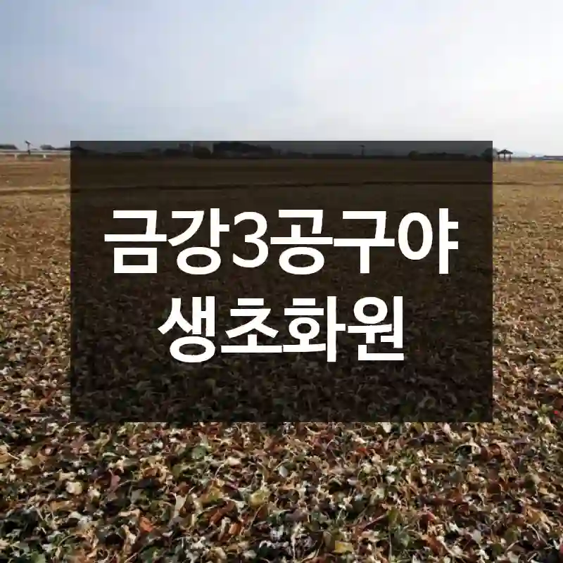 금강3공구야생초화원