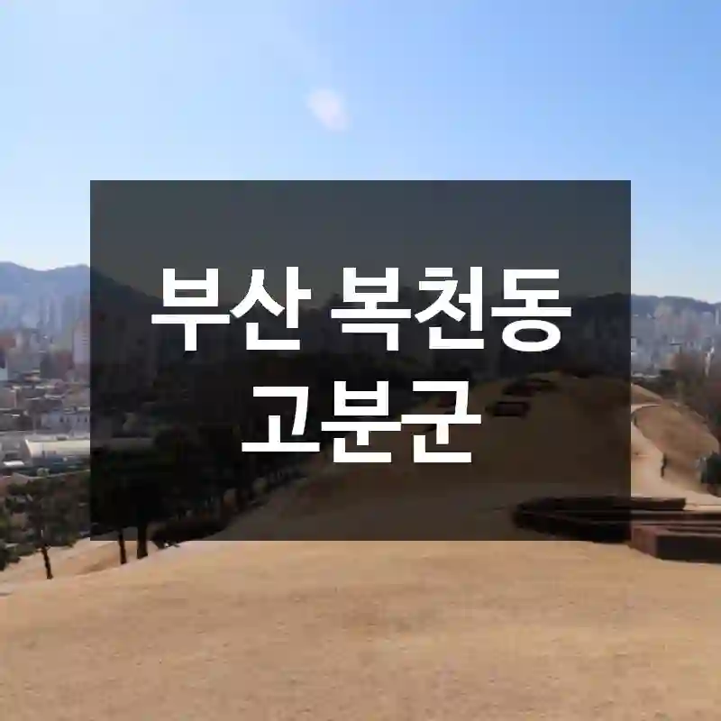 부산 복천동 고분군