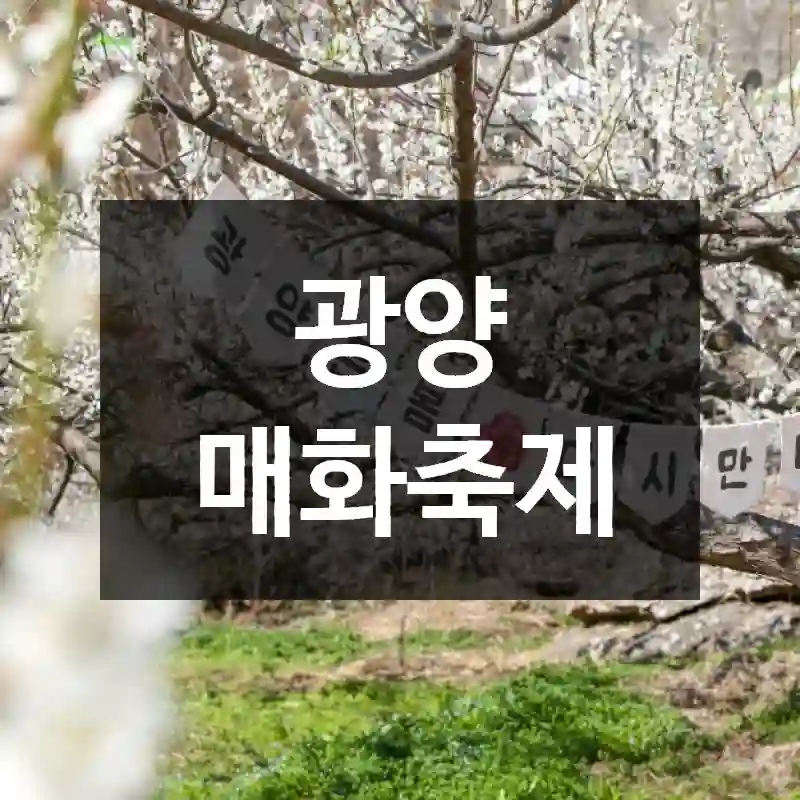 광양 매화축제