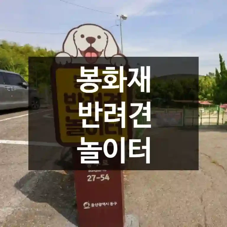 봉화재 반려견 놀이터