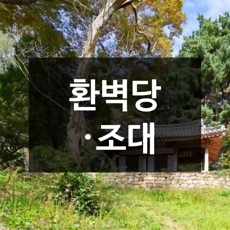 환벽당 ·조대
