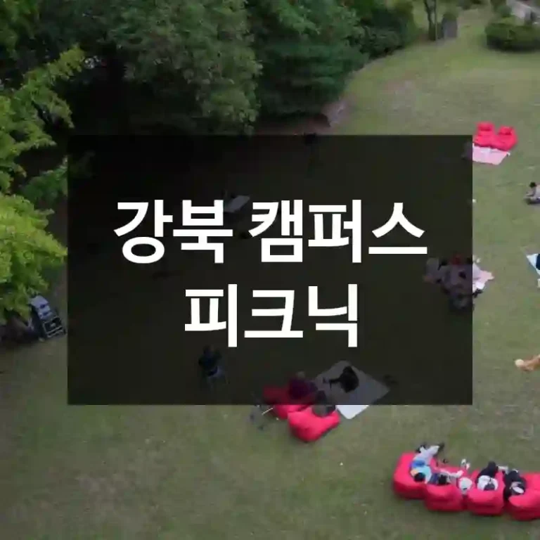 강북 캠퍼스 피크닉