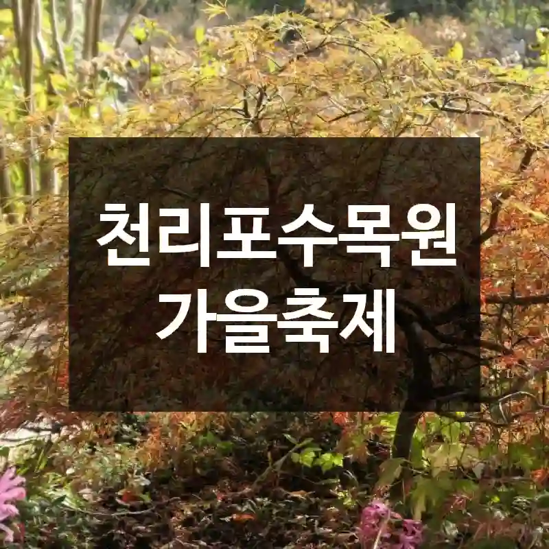 천리포수목원 가을축제