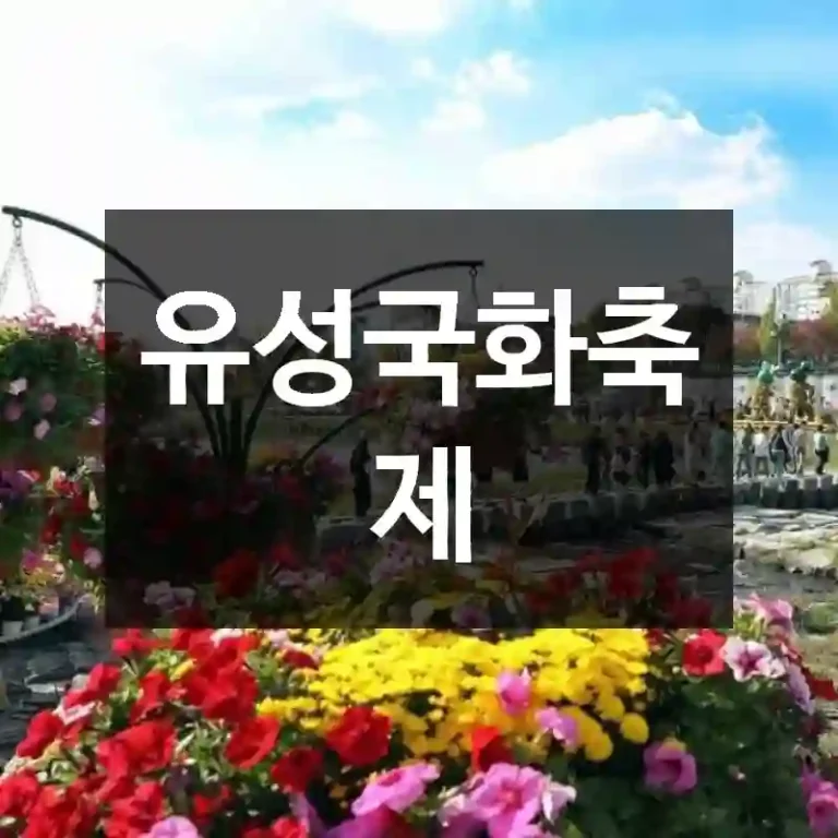 유성국화축제