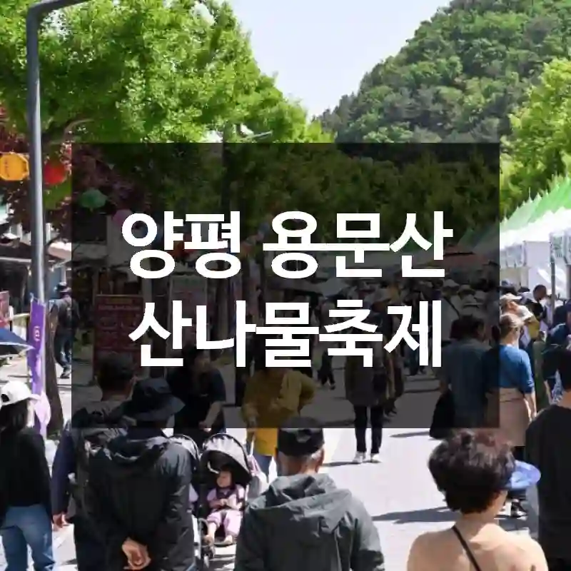 양평 용문산 산나물축제