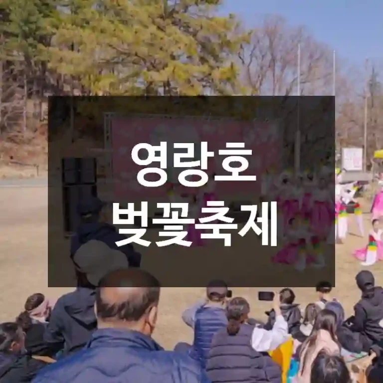 영랑호 벚꽃축제