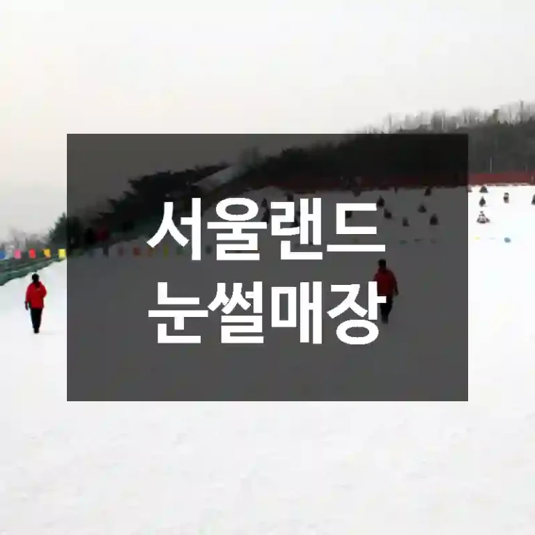서울랜드 눈썰매장