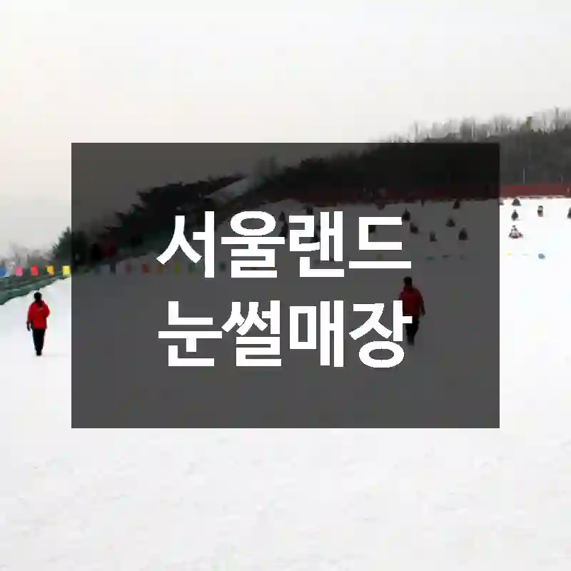 서울랜드 눈썰매장