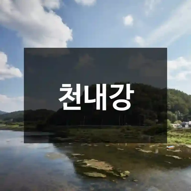 천내강