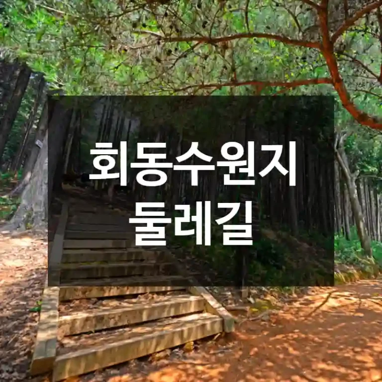 회동수원지 둘레길