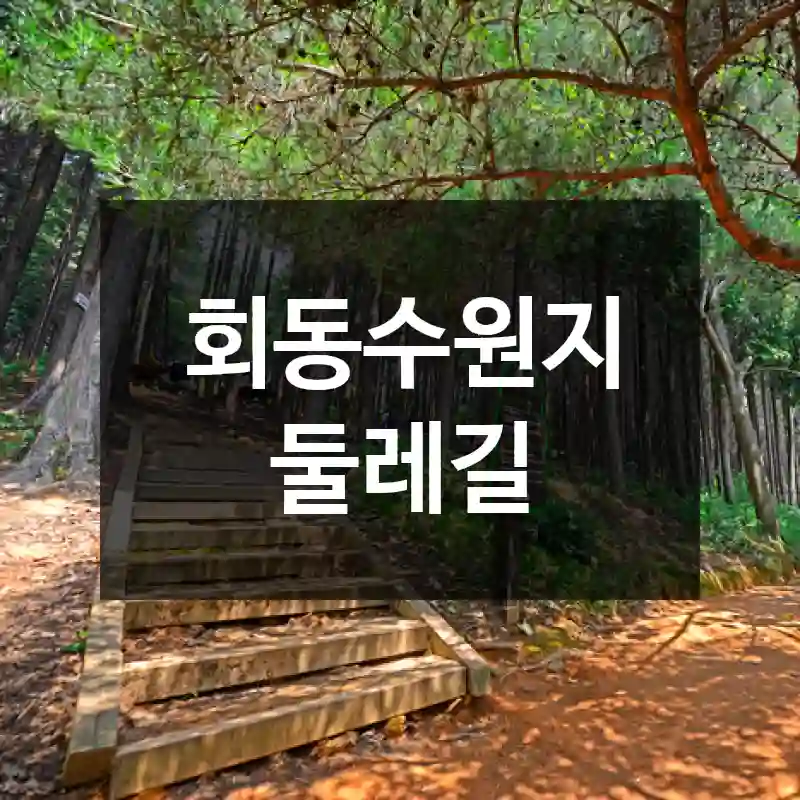 회동수원지 둘레길