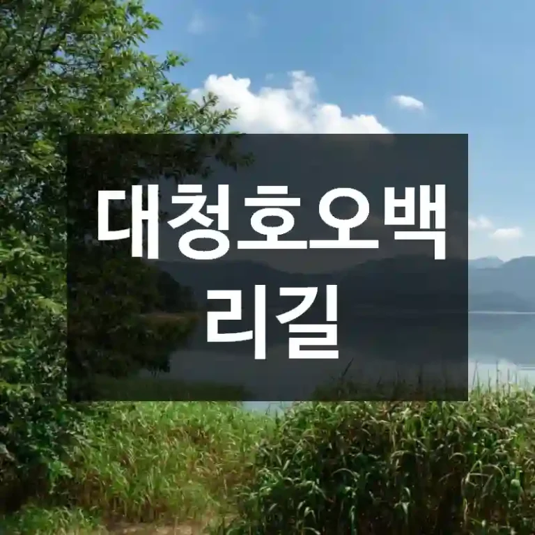 대청호오백리길