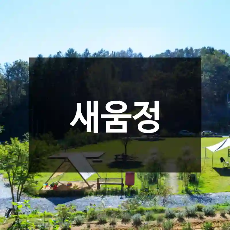 새움정