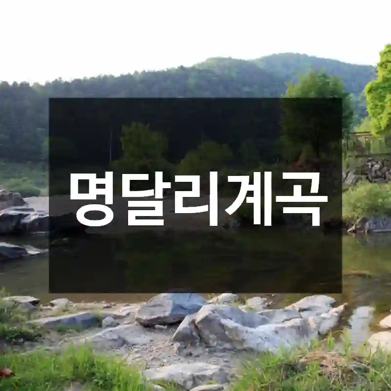명달리계곡