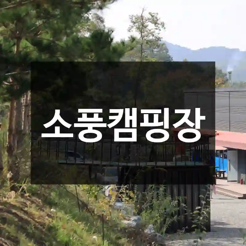 소풍캠핑장