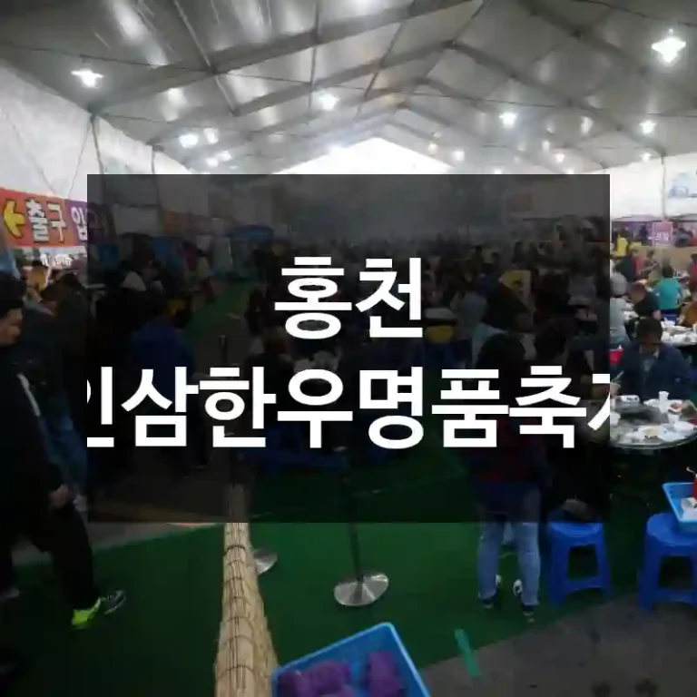 홍천 인삼한우명품축제