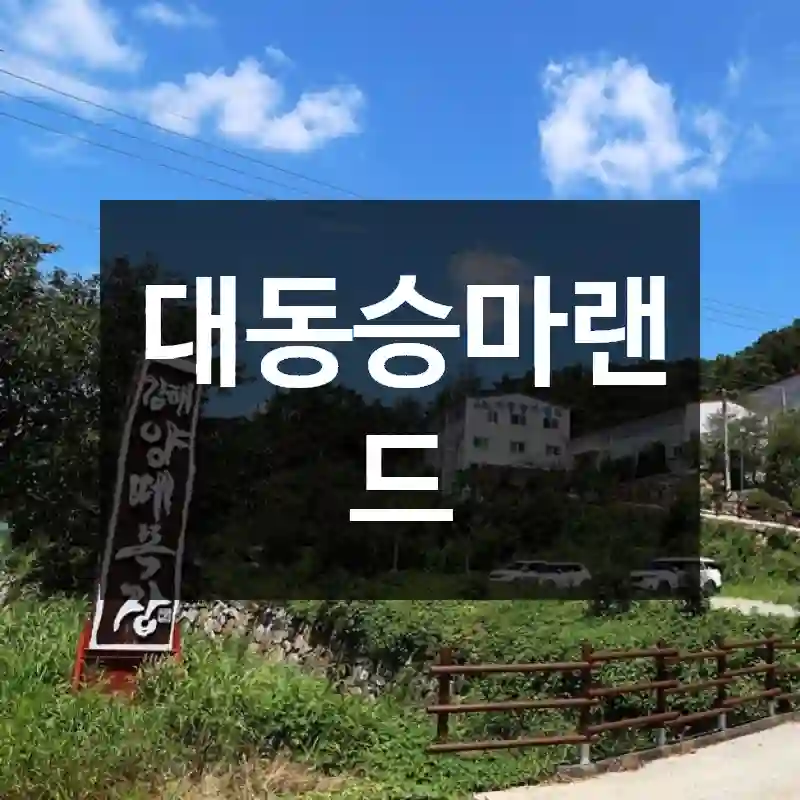 대동승마랜드