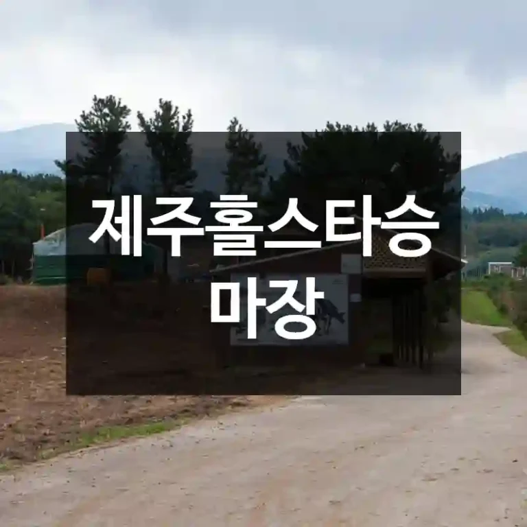 제주홀스타승마장