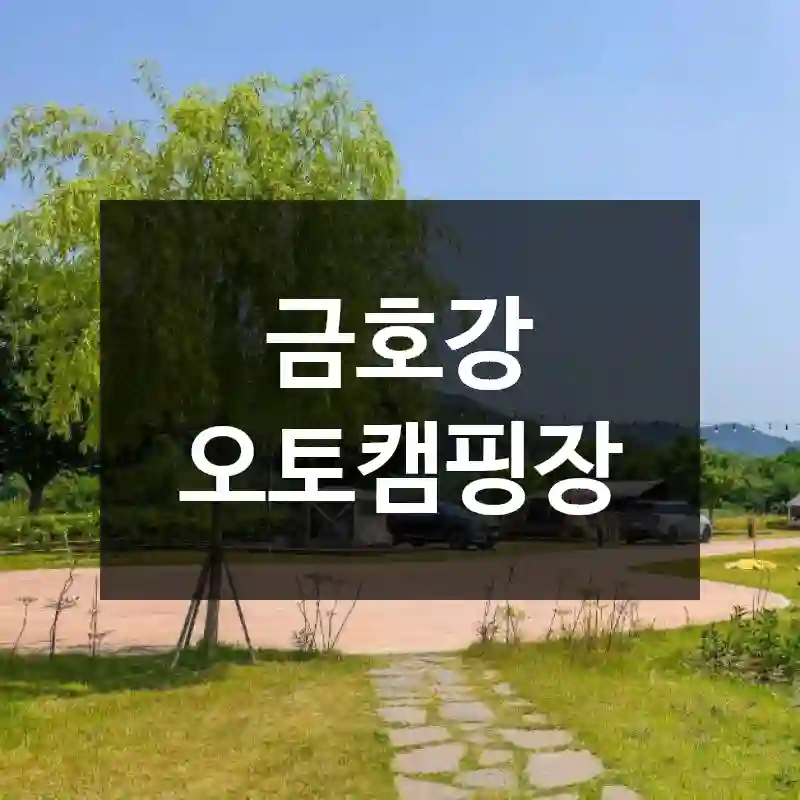 금호강 오토캠핑장