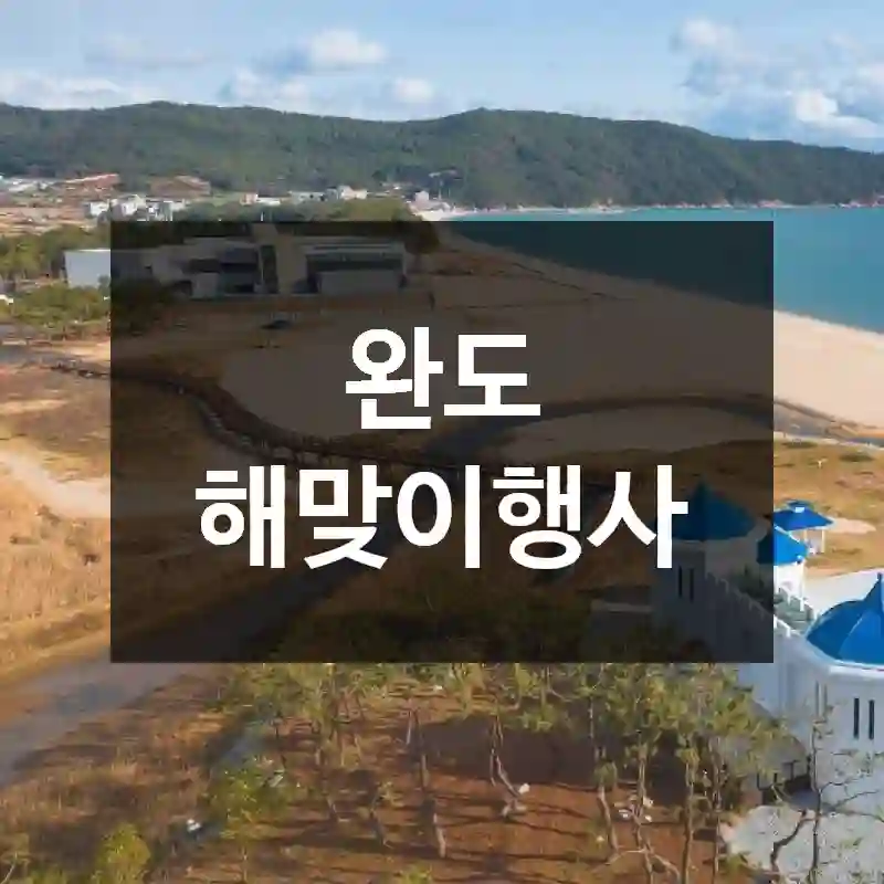 완도 해맞이행사