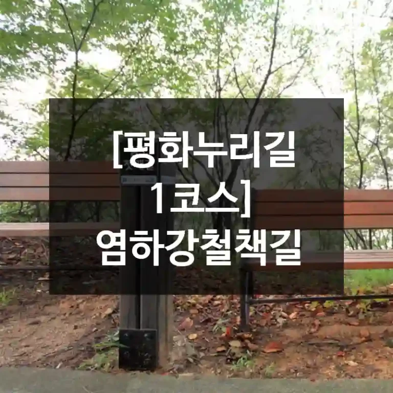 [평화누리길 1코스] 염하강철책길