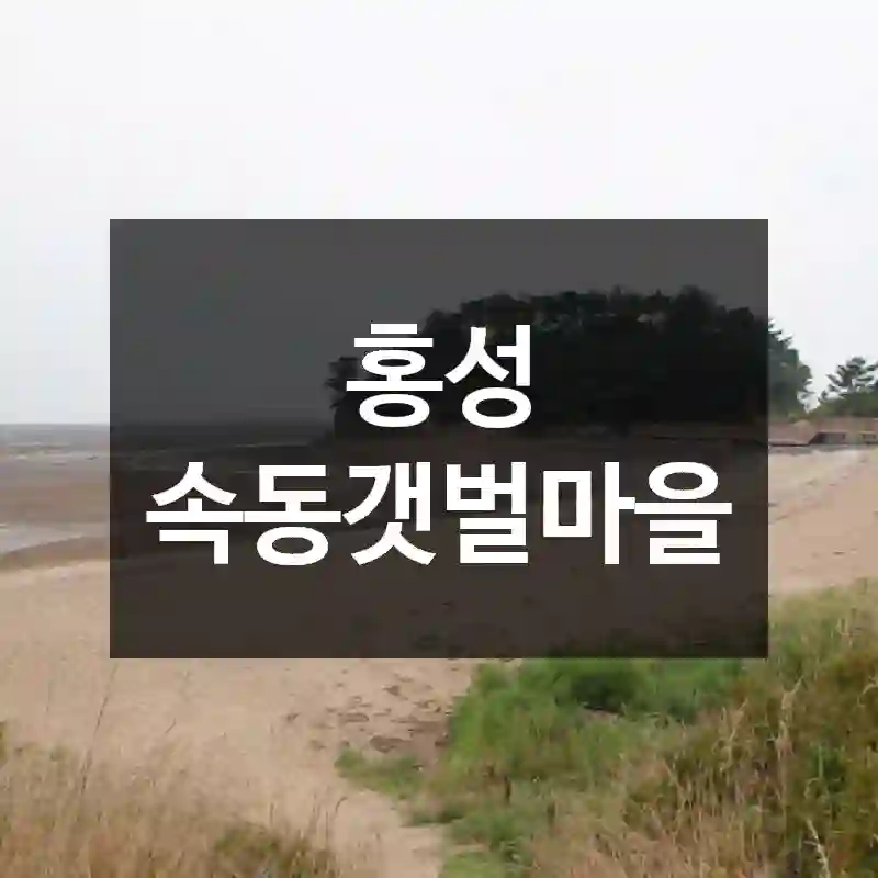 홍성 속동갯벌마을