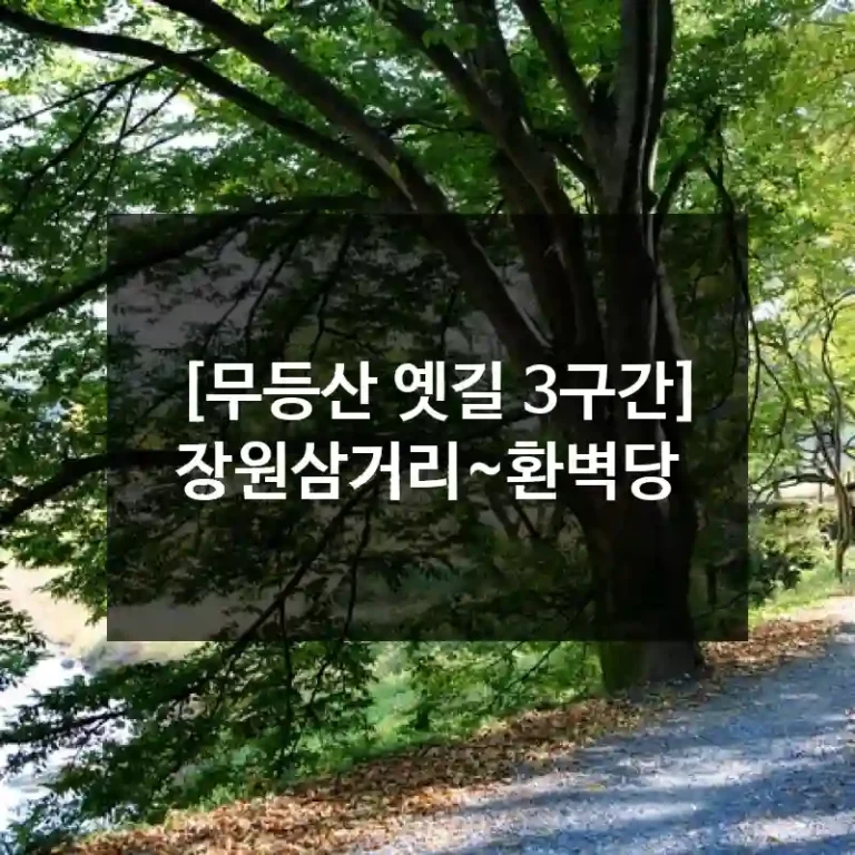 [무등산 옛길 3구간] 장원삼거리~환벽당