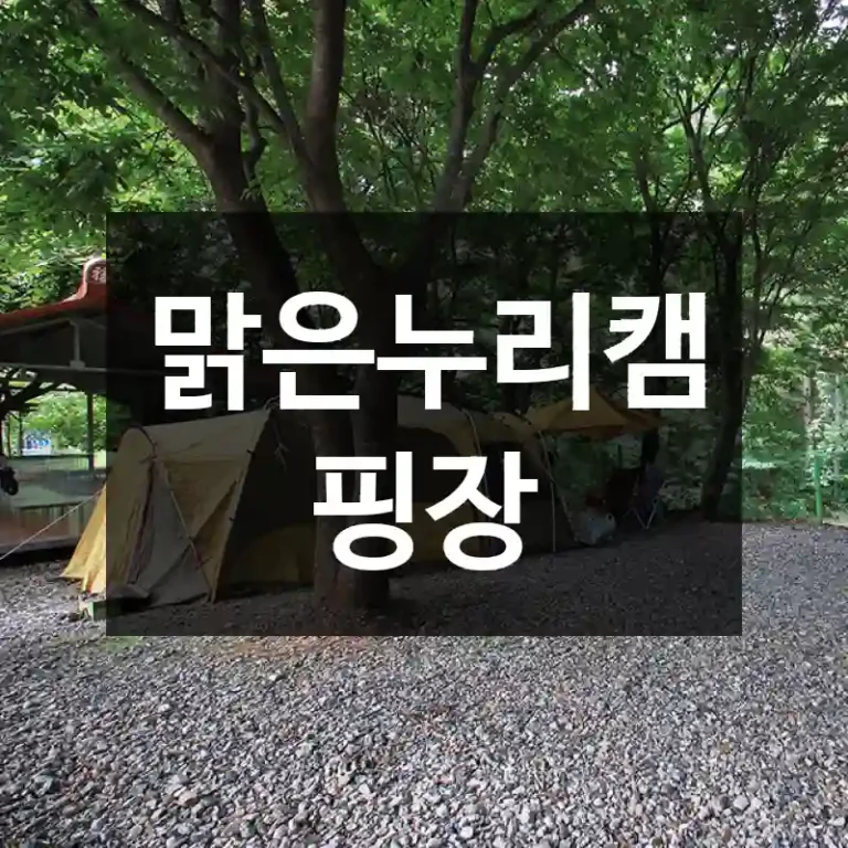 맑은누리캠핑장