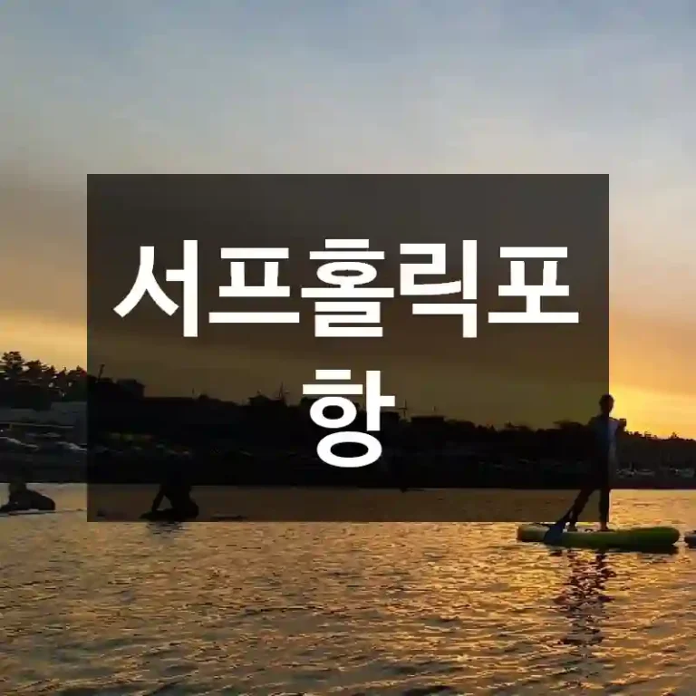 서프홀릭포항