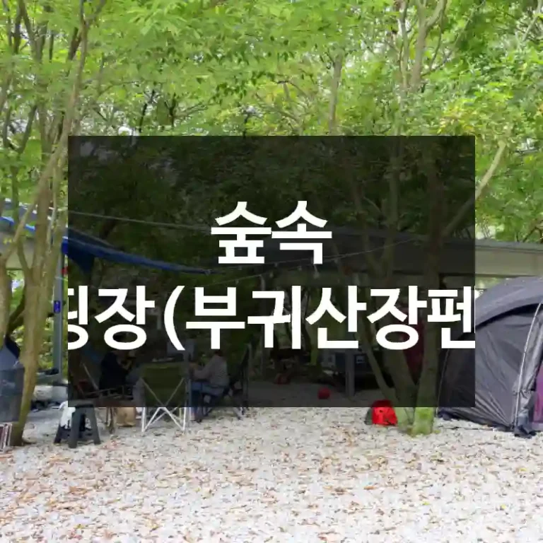 숲속 캠핑장(부귀산장펜션)