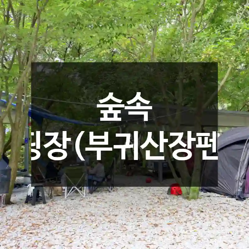 숲속 캠핑장(부귀산장펜션)