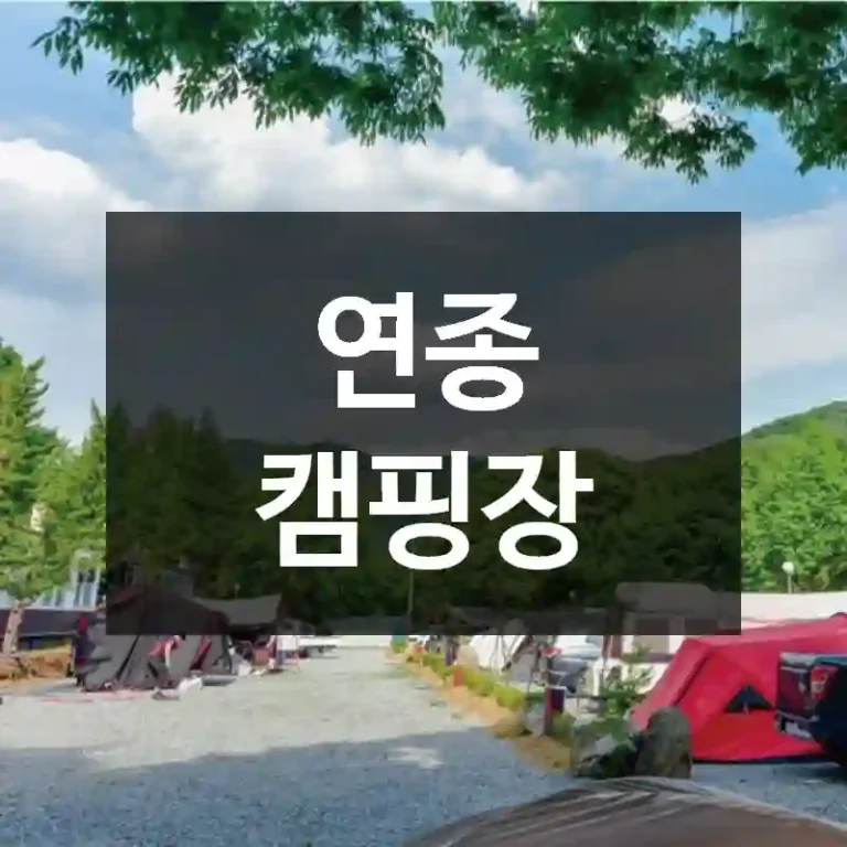 연종 캠핑장