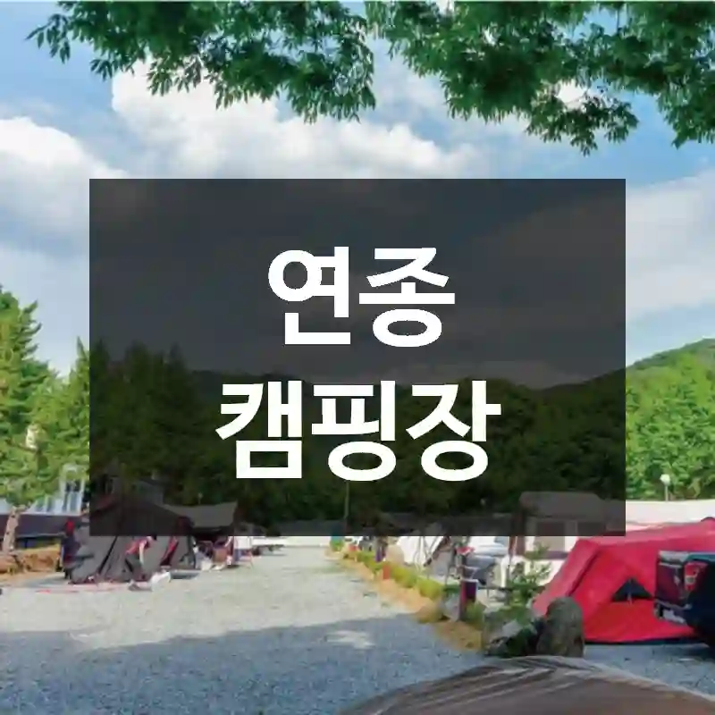 연종 캠핑장
