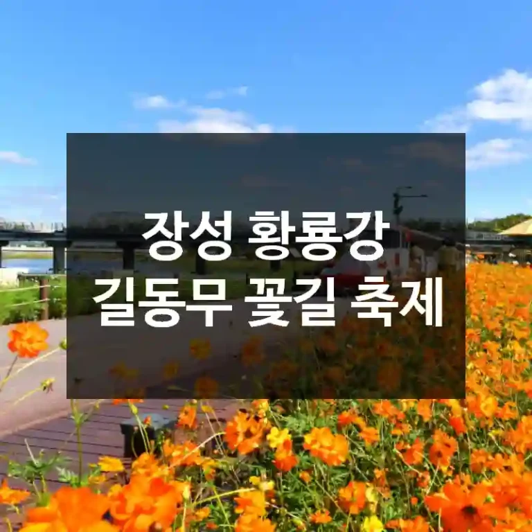 장성 황룡강 길동무 꽃길 축제
