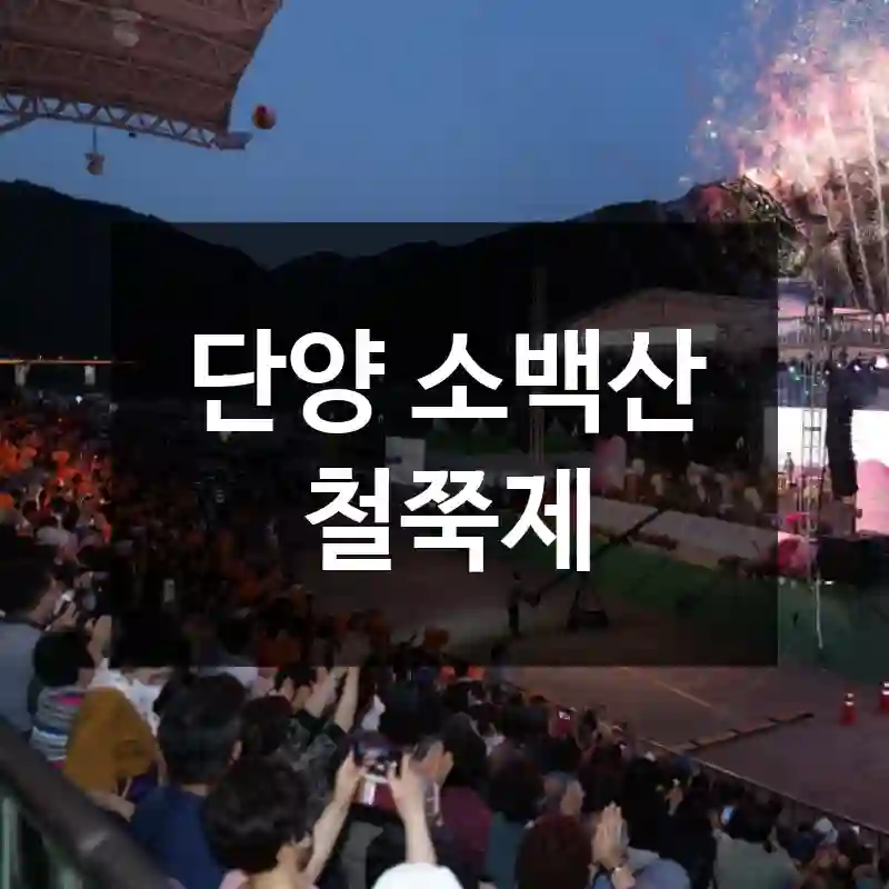 단양 소백산 철쭉제