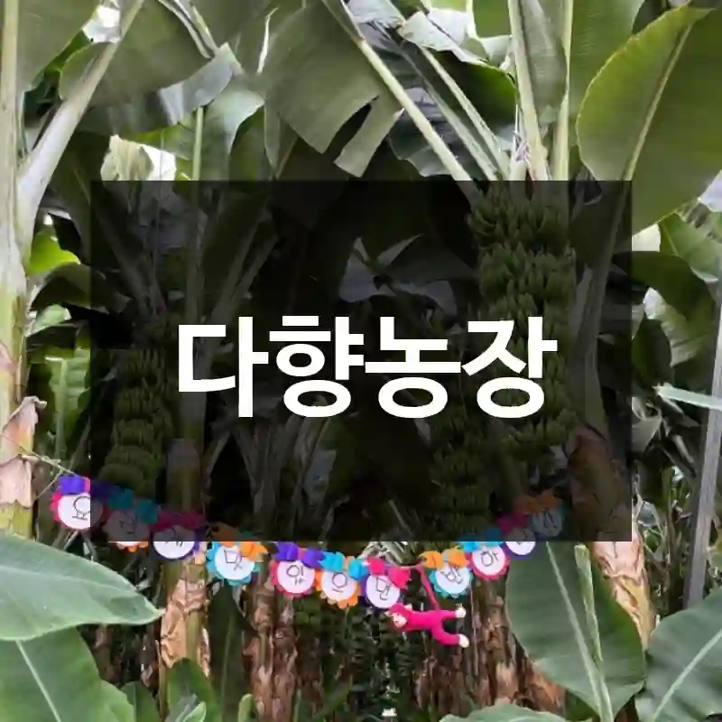 다향농장