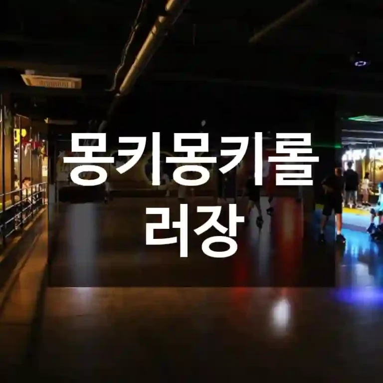 몽키몽키롤러장