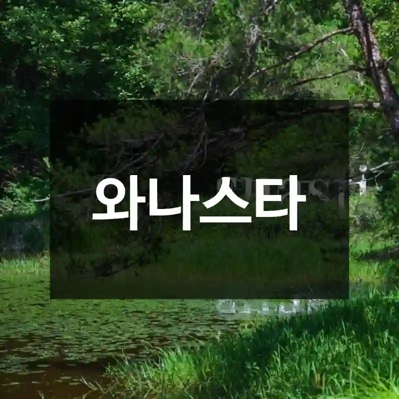 와나스타