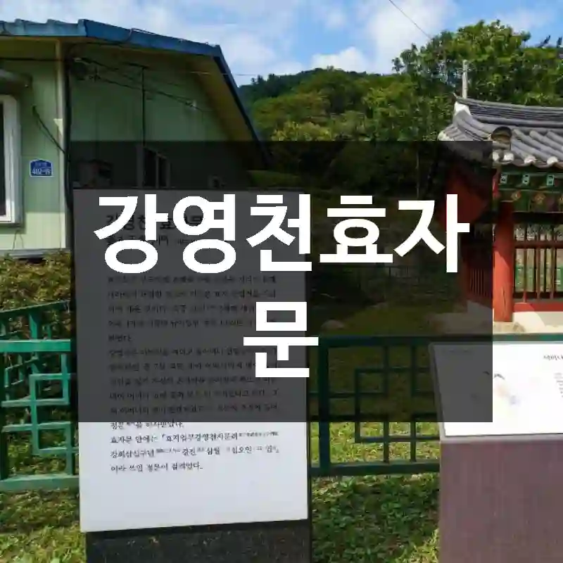 강영천효자문