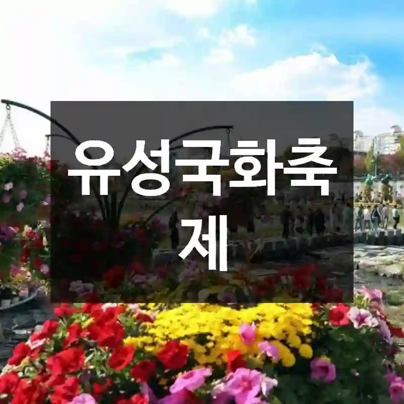 유성국화축제