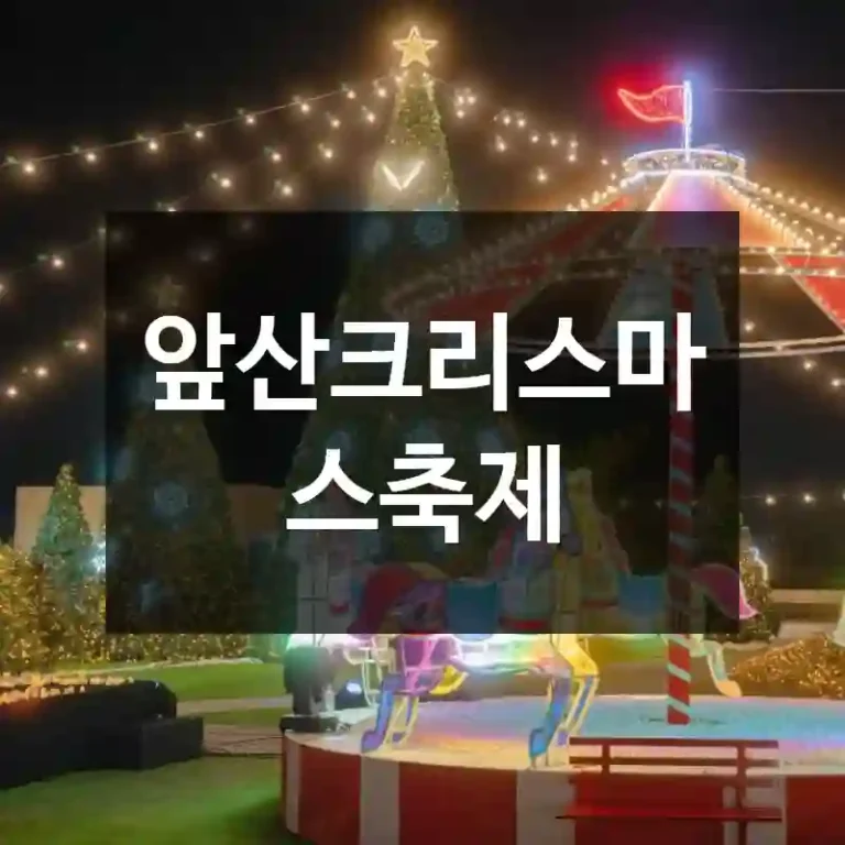 앞산크리스마스축제