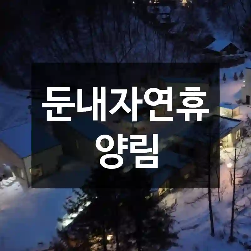 둔내자연휴양림