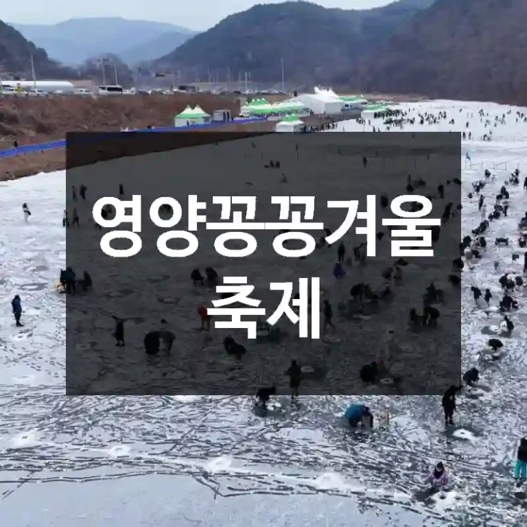영양꽁꽁겨울축제